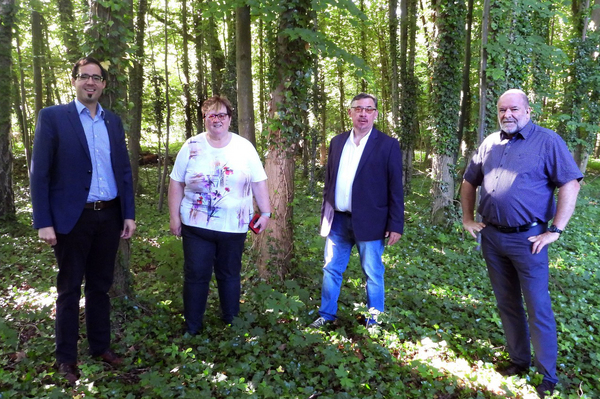 Waldfriedhof in Schrems